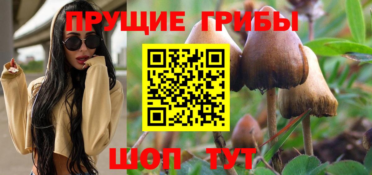 Псилоцибиновые грибы ЛСД  Псилоцибиновые грибы Cubensis  наркотики  Вход с VPN  Кингисепп 