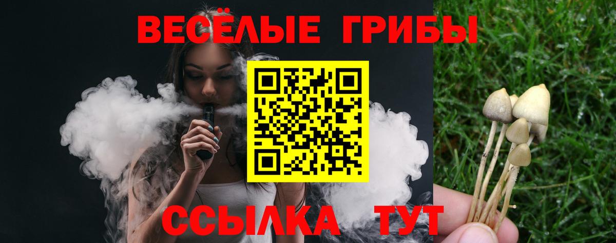 Галлюциногенные грибы Psilocybine cubensis Кингисепп